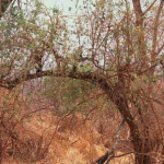 Screen shot 2013-01-05 at 01.50.33