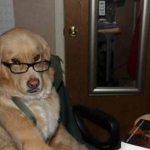 Screen shot 2013-01-21 at 23.06.45