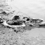 7 Dead Body in the Ganges River