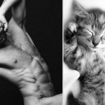 des-hommes-et-des-chatons-men-and-cats-2-23