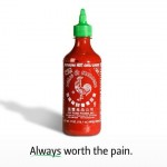 honest-slogans-3