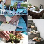 succulent-book-planters-collage