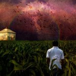 13-Interesting-Facts-about-Dreams-cornfields