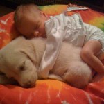 vkh1m-Puppy-and-Baby