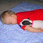 zqgit-Sleeping-Dog-with-Baby