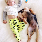 toddler-naps-with-puppy-theo-and-beau-2-12