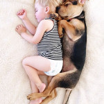 toddler-naps-with-puppy-theo-and-beau-2-13