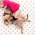 toddler-naps-with-puppy-theo-and-beau-2-15