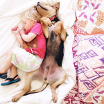 toddler-naps-with-puppy-theo-and-beau-2-16
