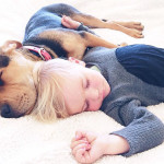 toddler-naps-with-puppy-theo-and-beau-2-17