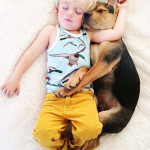 toddler-naps-with-puppy-theo-and-beau-2-18