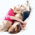 toddler-naps-with-puppy-theo-and-beau-2-2