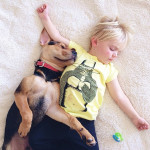 toddler-naps-with-puppy-theo-and-beau-2-3
