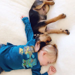 toddler-naps-with-puppy-theo-and-beau-2-6