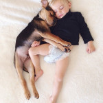 toddler-naps-with-puppy-theo-and-beau-2-7