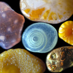 sand-grains-under-microscope-gary-greenberg-2