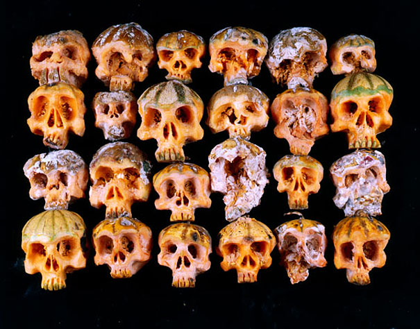 carved-fruit-vegetable-skulls-dimitri-tsykalov-7