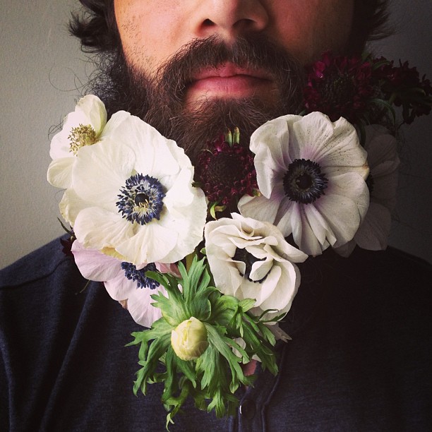 sarah winward flower beard