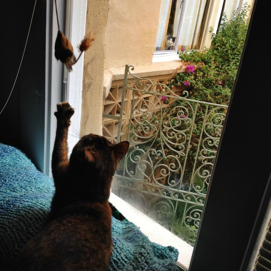 %22Hey%20there%2C%20neighbor.%20Having%20fun%20without%20me%3F%22