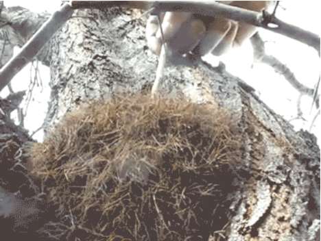 anigif_22171b378750395a835fda2c911e0aa0-0