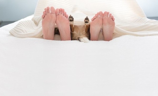 baby-puppy-14-600x363