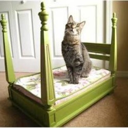 bed-side-table-pets-bed-2