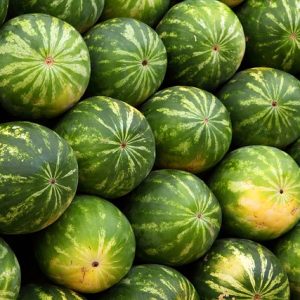 watermelons-gcd381e627_640
