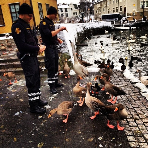 police-instagram-logreglan-reykjavik-iceland-8-605x605
