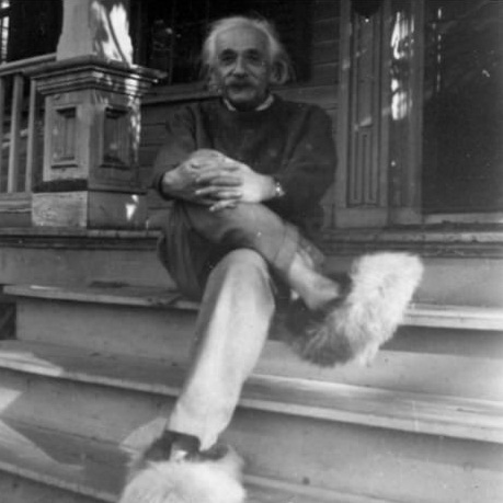 16-Einstein-and-his-furry-shoes