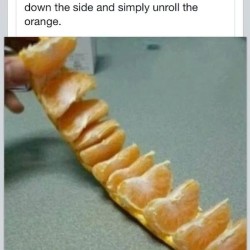 i2aic-peel-orange.jpg