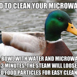 vth1s-clean-microwave.jpg