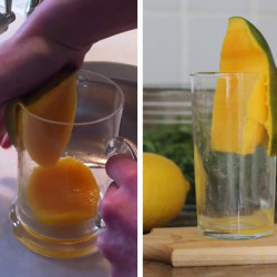 xeaj5-mango-peel.jpg