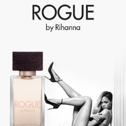 310X400px RROGUE BANNER