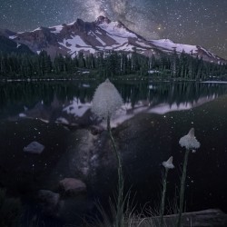Jefferson-Park-Oregon-2
