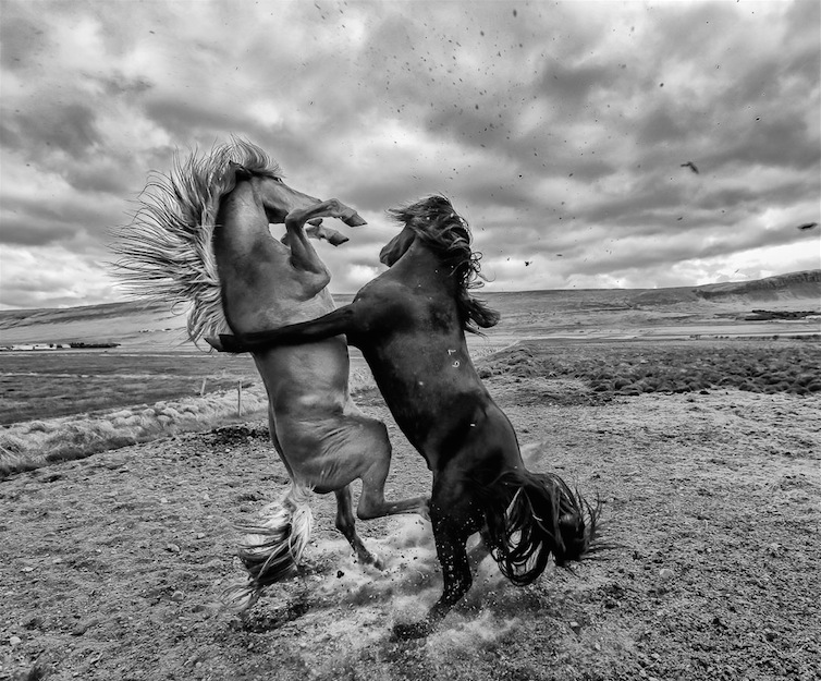 Screen Shot 2014-12-01 at 12.42.49