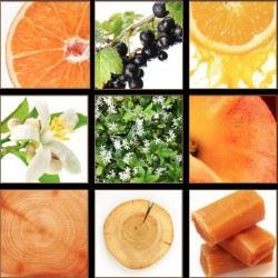 Screen Shot 2014-12-10 at 4.43.33 PM