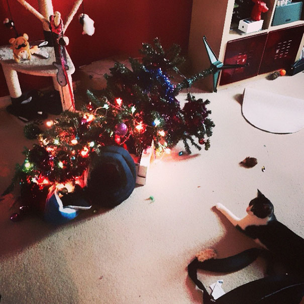 Cat 1 - Christmas Tree 0