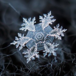 alexey_kljatov_snowflakes_and_snow_crystals_1