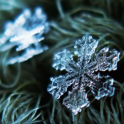 alexey_kljatov_snowflakes_and_snow_crystals_2