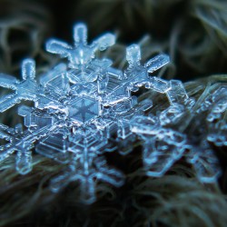 alexey_kljatov_snowflakes_and_snow_crystals_3