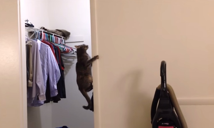 Screen Shot 2015-01-28 at 11.51.11 AM