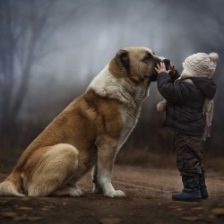 animal-children-photography-elena-shumilova-1-640×442.jpg