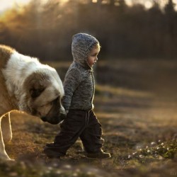 animal-children-photography-elena-shumilova-18-640×480.jpg