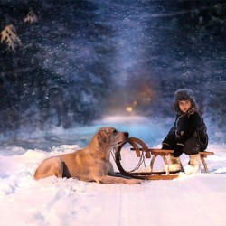 animal-children-photography-elena-shumilova-33-640×384.jpg