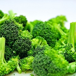 broccoli-DSC_1445