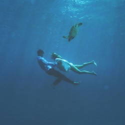 Maui-Underwater-Photographers-10.jpg
