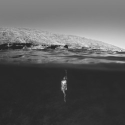 Maui-Underwater-Photographers-13.jpg