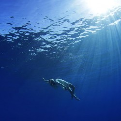 Maui-Underwater-Photographers-20.jpg