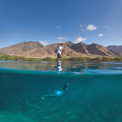 Maui-Underwater-Photographers-30.jpg