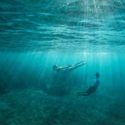 Maui-Underwater-Photographers-34.jpg